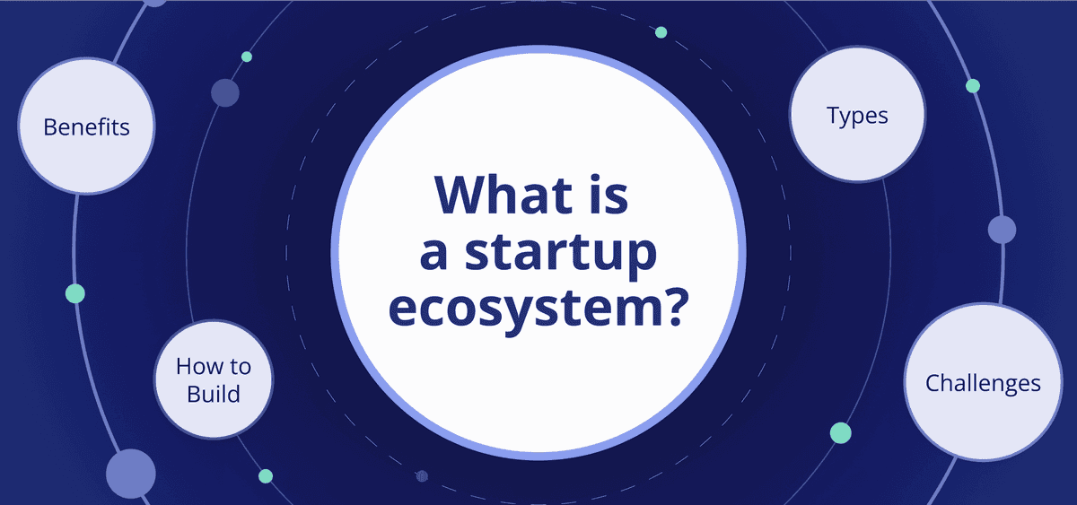What Is a Startup Ecosystem? Types, Benefits, & How to Build